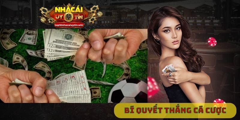 Bí quyết thắng cá cược