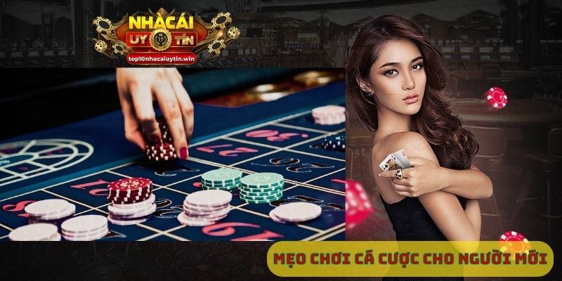Mẹo chơi cá cược cho người mới