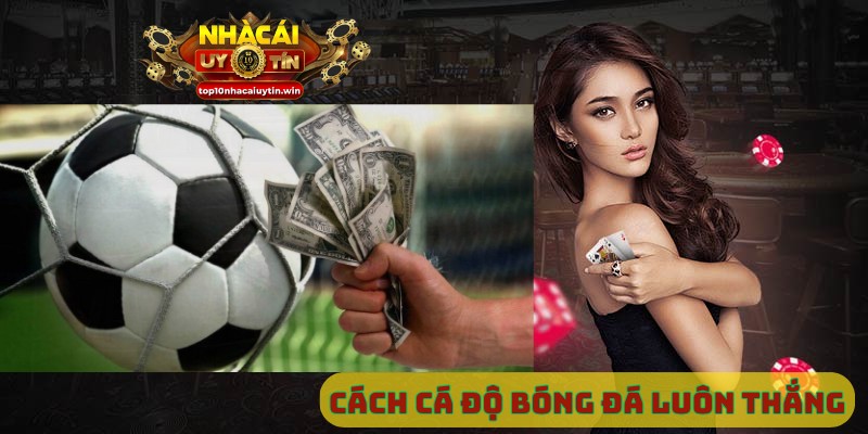Cách cá độ bóng đá luôn thắng
